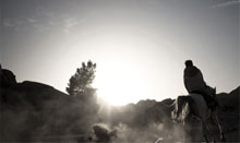 手机号在线压测平台